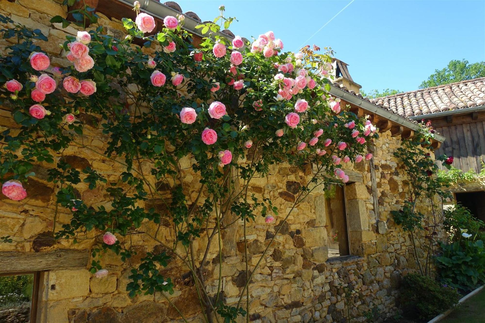 Domaine De Cournet Haut, A 17Th Century Property Set On A Calm, Idyllic Domain With Pool, Tennis, Bikes And More Les Vauries Εξωτερικό φωτογραφία