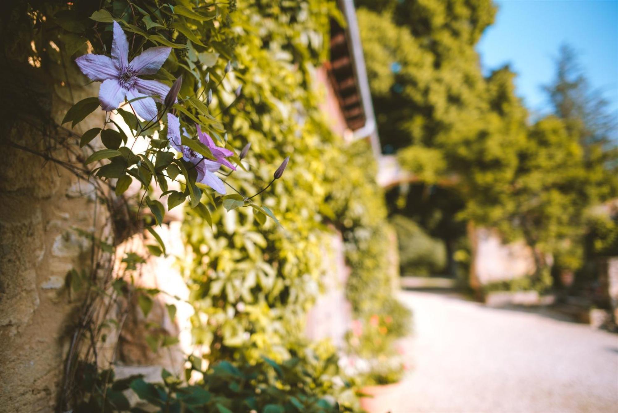 Domaine De Cournet Haut, A 17Th Century Property Set On A Calm, Idyllic Domain With Pool, Tennis, Bikes And More Les Vauries Εξωτερικό φωτογραφία